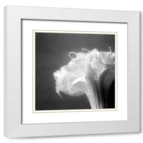 Light White Modern Wood Framed Art Print with Double Matting by Stalus, Judy