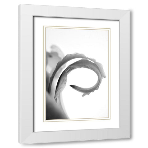 Wave White Modern Wood Framed Art Print with Double Matting by Stalus, Judy