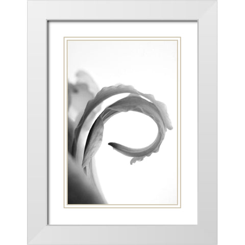 Wave White Modern Wood Framed Art Print with Double Matting by Stalus, Judy