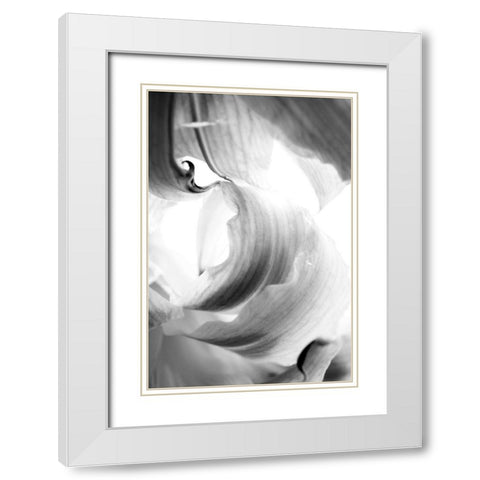 Breaker White Modern Wood Framed Art Print with Double Matting by Stalus, Judy