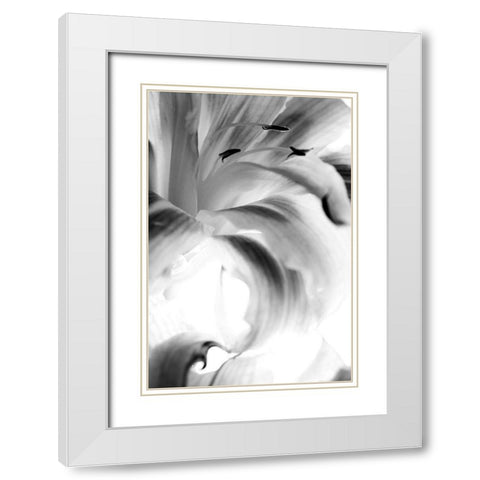 Explosion White Modern Wood Framed Art Print with Double Matting by Stalus, Judy