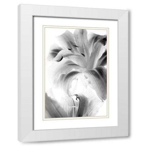 Burst White Modern Wood Framed Art Print with Double Matting by Stalus, Judy