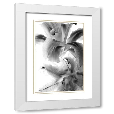 Fire Works White Modern Wood Framed Art Print with Double Matting by Stalus, Judy