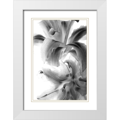 Fire Works White Modern Wood Framed Art Print with Double Matting by Stalus, Judy