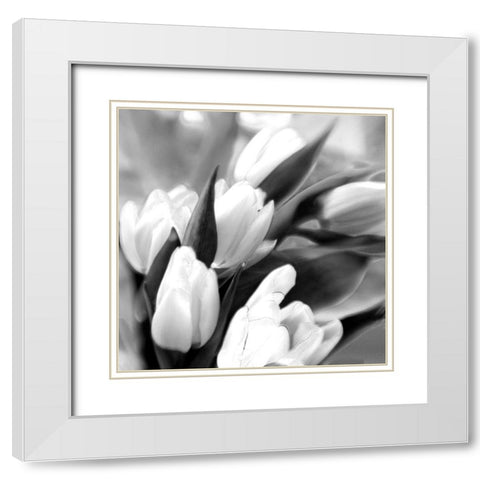 Tulip Dream White Modern Wood Framed Art Print with Double Matting by Stalus, Judy