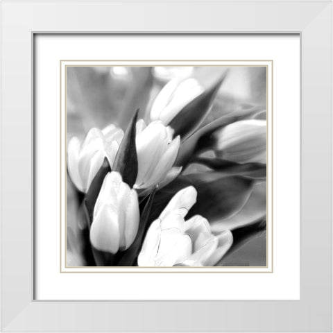 Tulip Dream White Modern Wood Framed Art Print with Double Matting by Stalus, Judy
