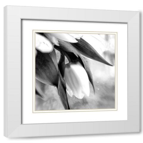 Remember White Modern Wood Framed Art Print with Double Matting by Stalus, Judy
