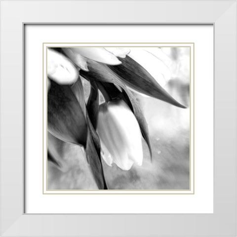 Remember White Modern Wood Framed Art Print with Double Matting by Stalus, Judy