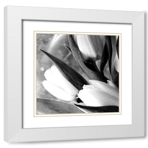 Refresh White Modern Wood Framed Art Print with Double Matting by Stalus, Judy