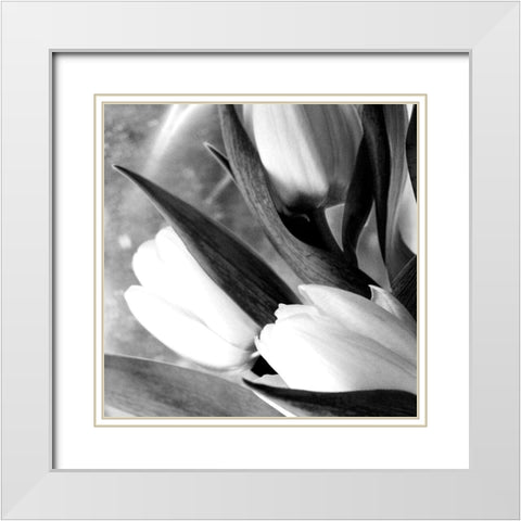 Refresh White Modern Wood Framed Art Print with Double Matting by Stalus, Judy