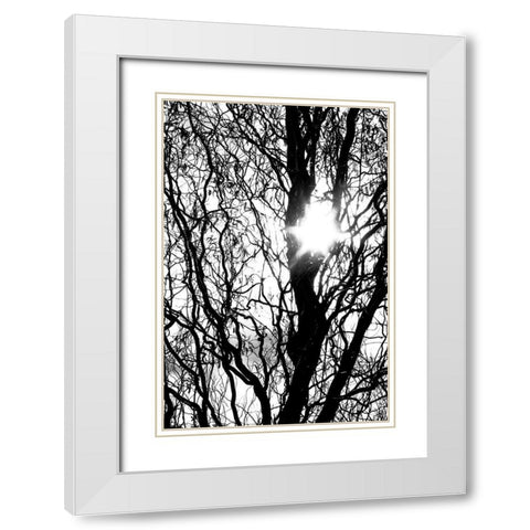 Break Through White Modern Wood Framed Art Print with Double Matting by Stalus, Judy