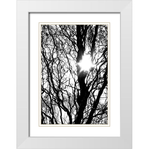 Break Through White Modern Wood Framed Art Print with Double Matting by Stalus, Judy