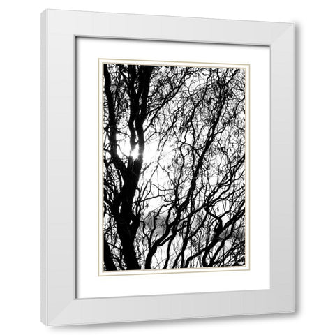 Miracle White Modern Wood Framed Art Print with Double Matting by Stalus, Judy