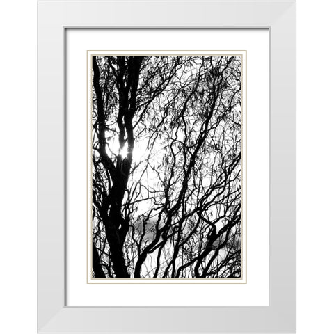 Miracle White Modern Wood Framed Art Print with Double Matting by Stalus, Judy