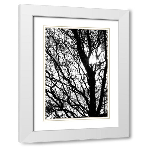 remember White Modern Wood Framed Art Print with Double Matting by Stalus, Judy