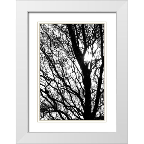 remember White Modern Wood Framed Art Print with Double Matting by Stalus, Judy