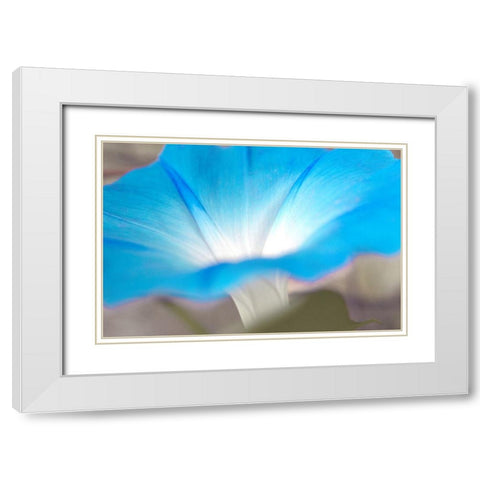 blue White Modern Wood Framed Art Print with Double Matting by Stalus, Judy