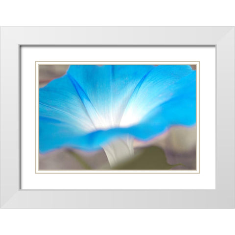 blue White Modern Wood Framed Art Print with Double Matting by Stalus, Judy