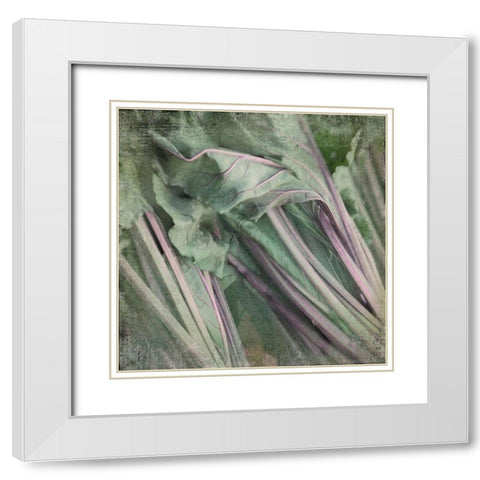 Day Dream White Modern Wood Framed Art Print with Double Matting by Stalus, Judy