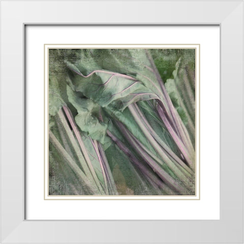 Day Dream White Modern Wood Framed Art Print with Double Matting by Stalus, Judy