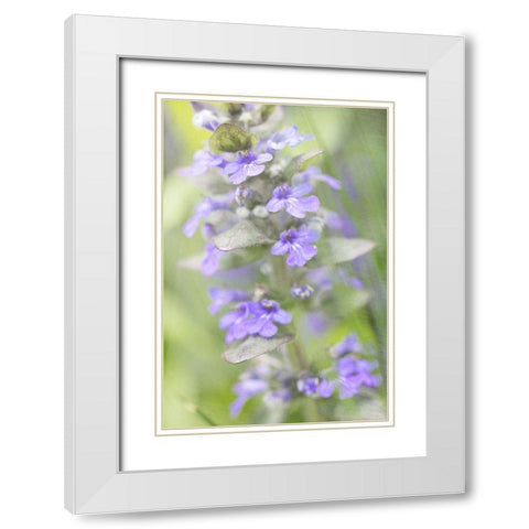Blue Day White Modern Wood Framed Art Print with Double Matting by Stalus, Judy
