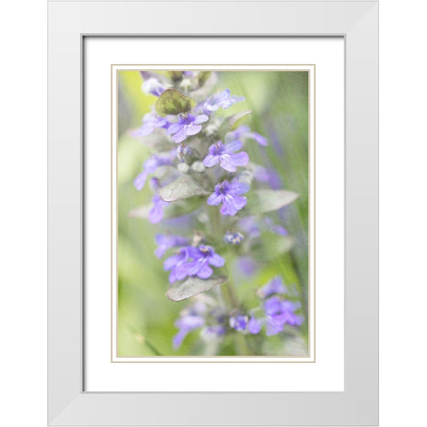 Blue Day White Modern Wood Framed Art Print with Double Matting by Stalus, Judy