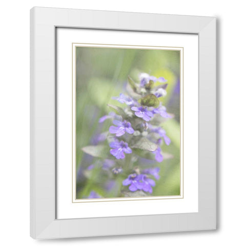 Blue Morning White Modern Wood Framed Art Print with Double Matting by Stalus, Judy