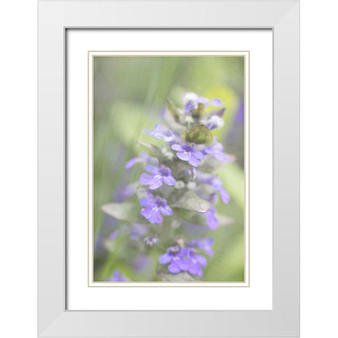 Blue Morning White Modern Wood Framed Art Print with Double Matting by Stalus, Judy