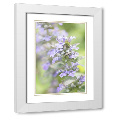 Blue Light White Modern Wood Framed Art Print with Double Matting by Stalus, Judy
