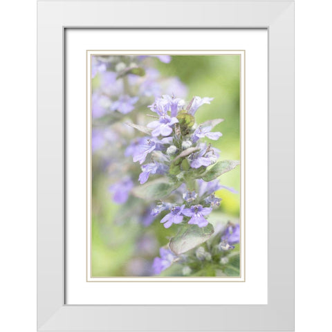 Blue Light White Modern Wood Framed Art Print with Double Matting by Stalus, Judy