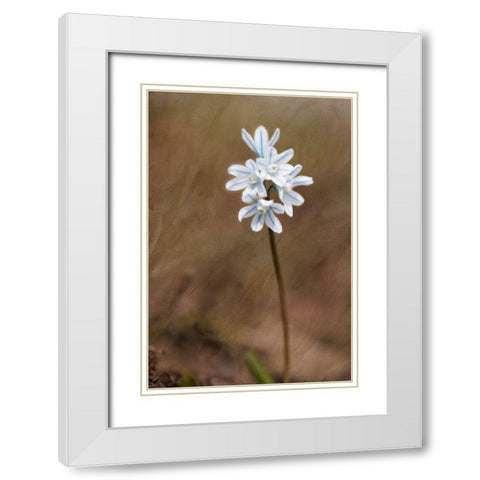 Spring White Modern Wood Framed Art Print with Double Matting by Stalus, Judy