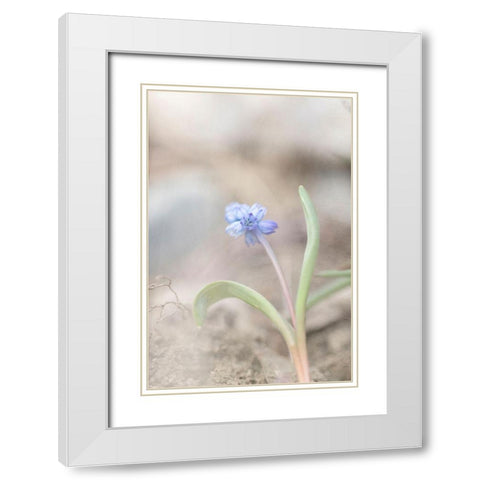 Spring Morning White Modern Wood Framed Art Print with Double Matting by Stalus, Judy