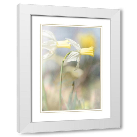 Jonquil White Modern Wood Framed Art Print with Double Matting by Stalus, Judy