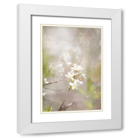 Mystery White Modern Wood Framed Art Print with Double Matting by Stalus, Judy