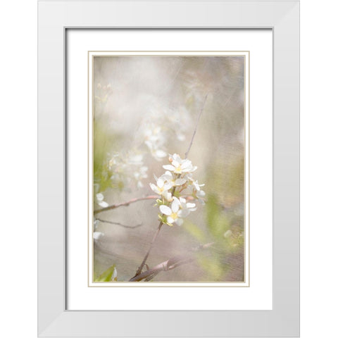 Mystery White Modern Wood Framed Art Print with Double Matting by Stalus, Judy