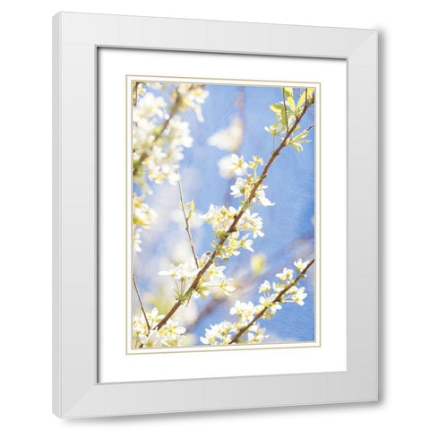 Blue Sky White Modern Wood Framed Art Print with Double Matting by Stalus, Judy