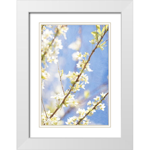 Blue Sky White Modern Wood Framed Art Print with Double Matting by Stalus, Judy