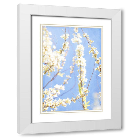 Blue Morning White Modern Wood Framed Art Print with Double Matting by Stalus, Judy