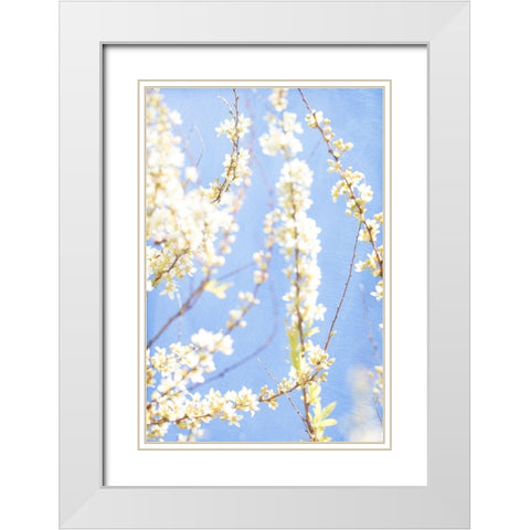 Blue Morning White Modern Wood Framed Art Print with Double Matting by Stalus, Judy