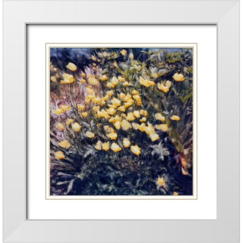 Buttercups White Modern Wood Framed Art Print with Double Matting by Stalus, Judy