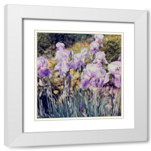 Iris Garden White Modern Wood Framed Art Print with Double Matting by Stalus, Judy