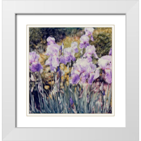 Iris Garden White Modern Wood Framed Art Print with Double Matting by Stalus, Judy