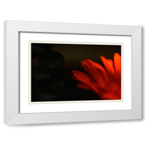 Flame White Modern Wood Framed Art Print with Double Matting by Stalus, Judy