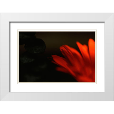 Flame White Modern Wood Framed Art Print with Double Matting by Stalus, Judy