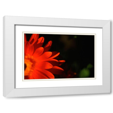 Red Sun White Modern Wood Framed Art Print with Double Matting by Stalus, Judy