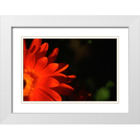 Red Sun White Modern Wood Framed Art Print with Double Matting by Stalus, Judy