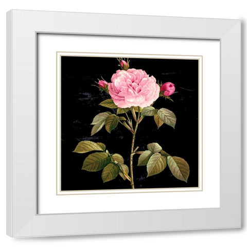 In Bloom I White Modern Wood Framed Art Print with Double Matting by Smith, Karen