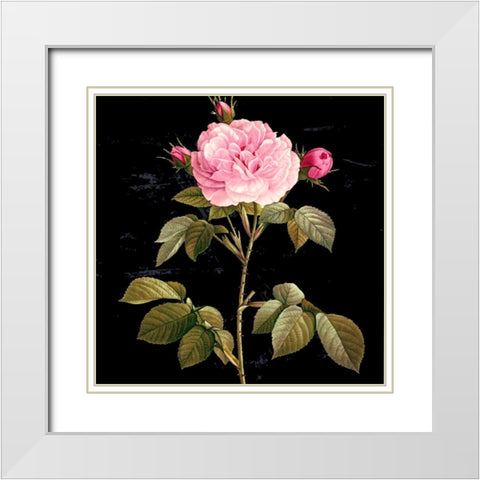 In Bloom I White Modern Wood Framed Art Print with Double Matting by Smith, Karen