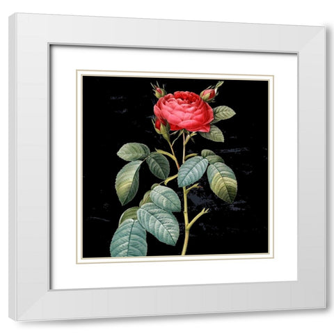 In Bloom II White Modern Wood Framed Art Print with Double Matting by Smith, Karen