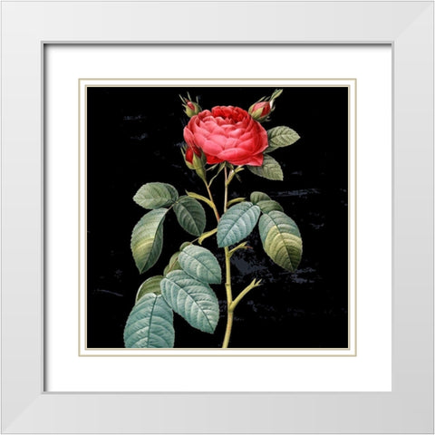 In Bloom II White Modern Wood Framed Art Print with Double Matting by Smith, Karen